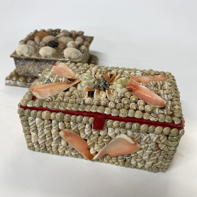 BOX, Shell Trinket Box